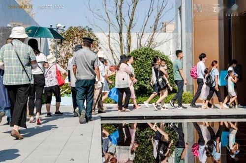 奥体时代最新爆料,最新爆料背后的惊人真相